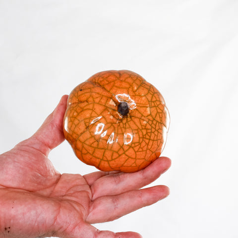 Pumpkin XS