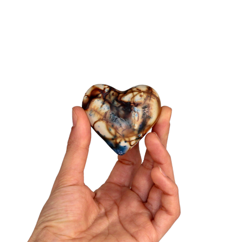 Heart S Saggar Fired