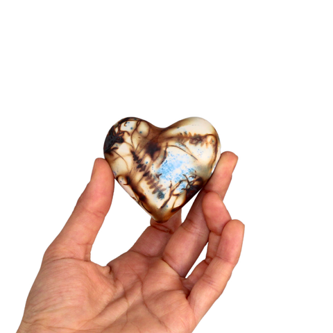 Heart S Saggar Fired