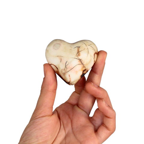 Heart S Saggar Fired