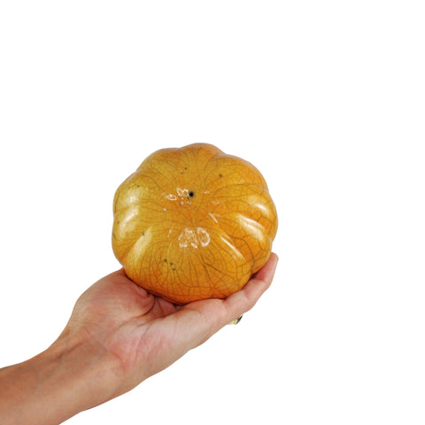Pumpkin XS