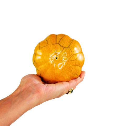Pumpkin XS