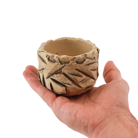 Teacup