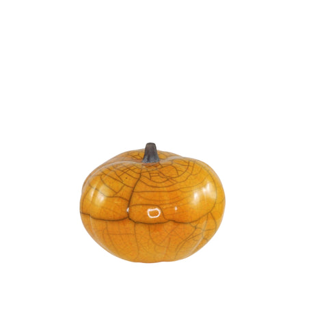 Pumpkin XS