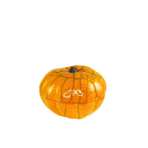 Pumpkin XS