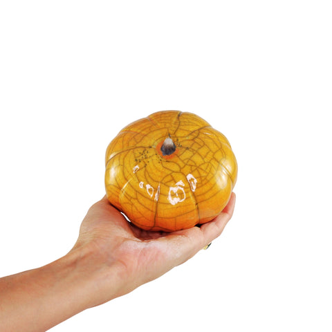 Pumpkin XS