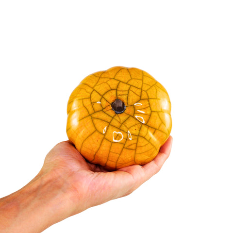 Pumpkin XS