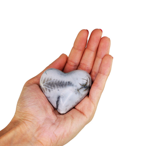 Heart S Saggar Fired